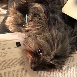 Meet your Posher, Thia